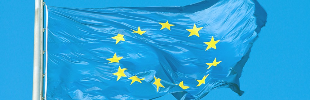 european-flag_pic